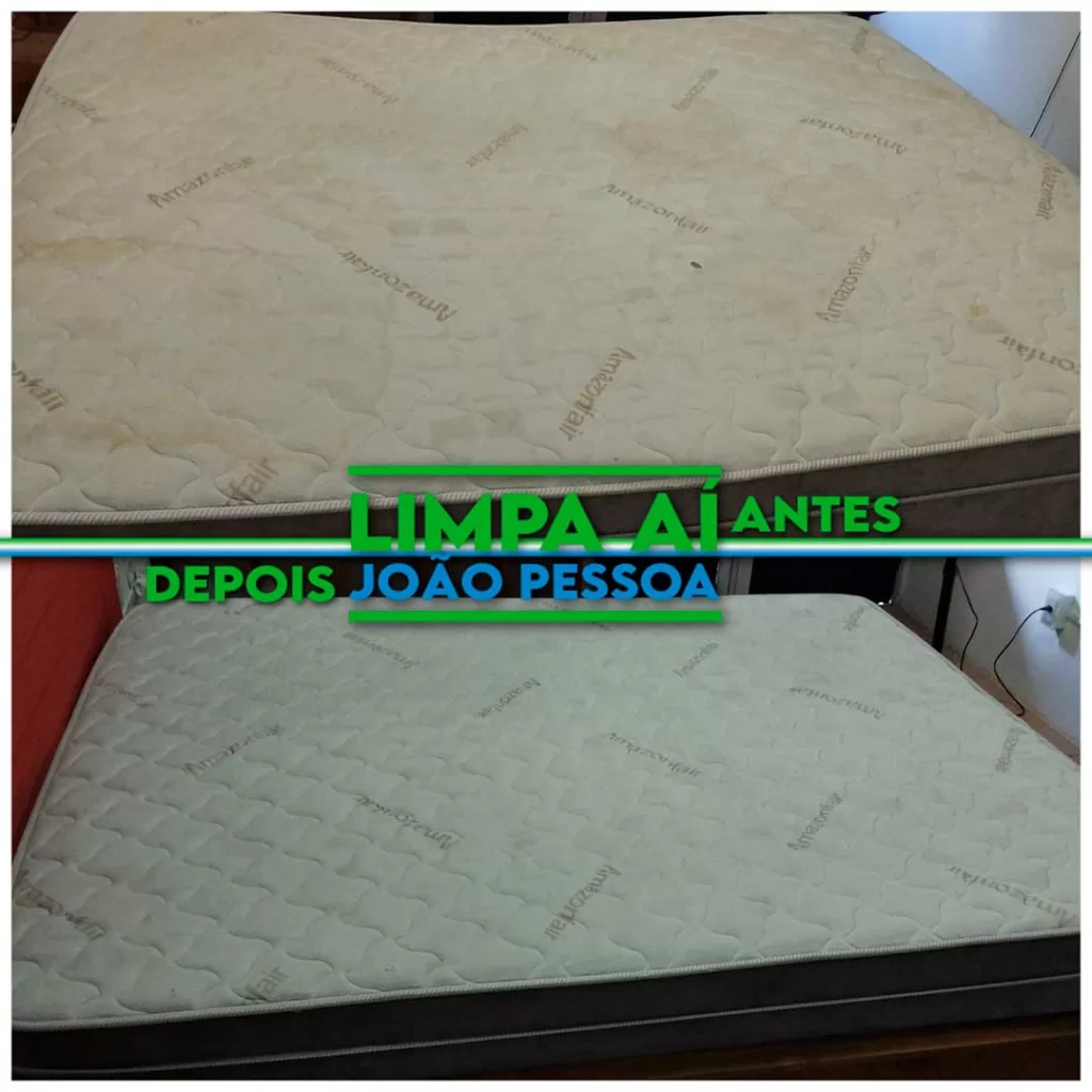 limpeza, higienização e impermeabilização de estofsdos, tapetes e carpetes